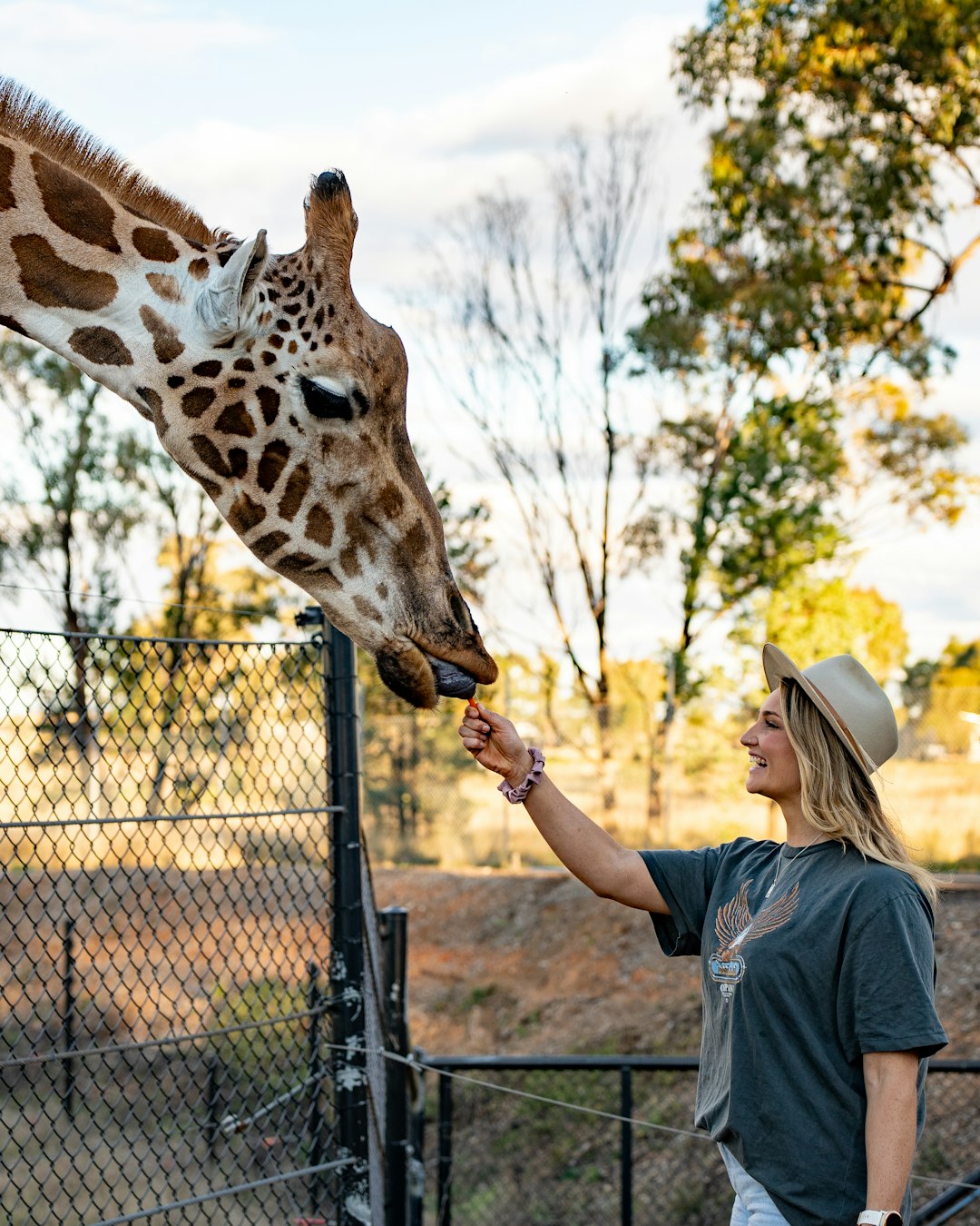 Disrespecting Local Wildlife and Environment (image credits: unsplash)