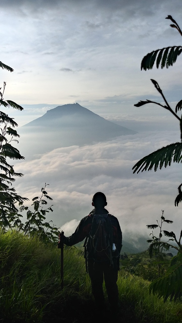 Facing Your Fears: Growth on the Other Side (image credits: pixabay)