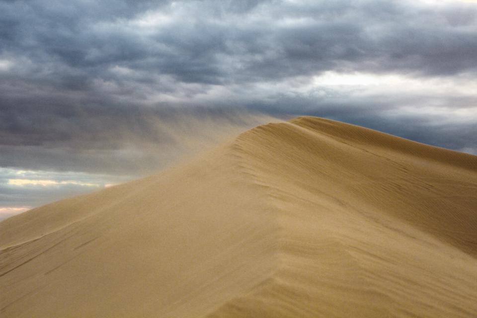 Relentless Sandstorms and Blinding Winds (image credits: stocksnap)