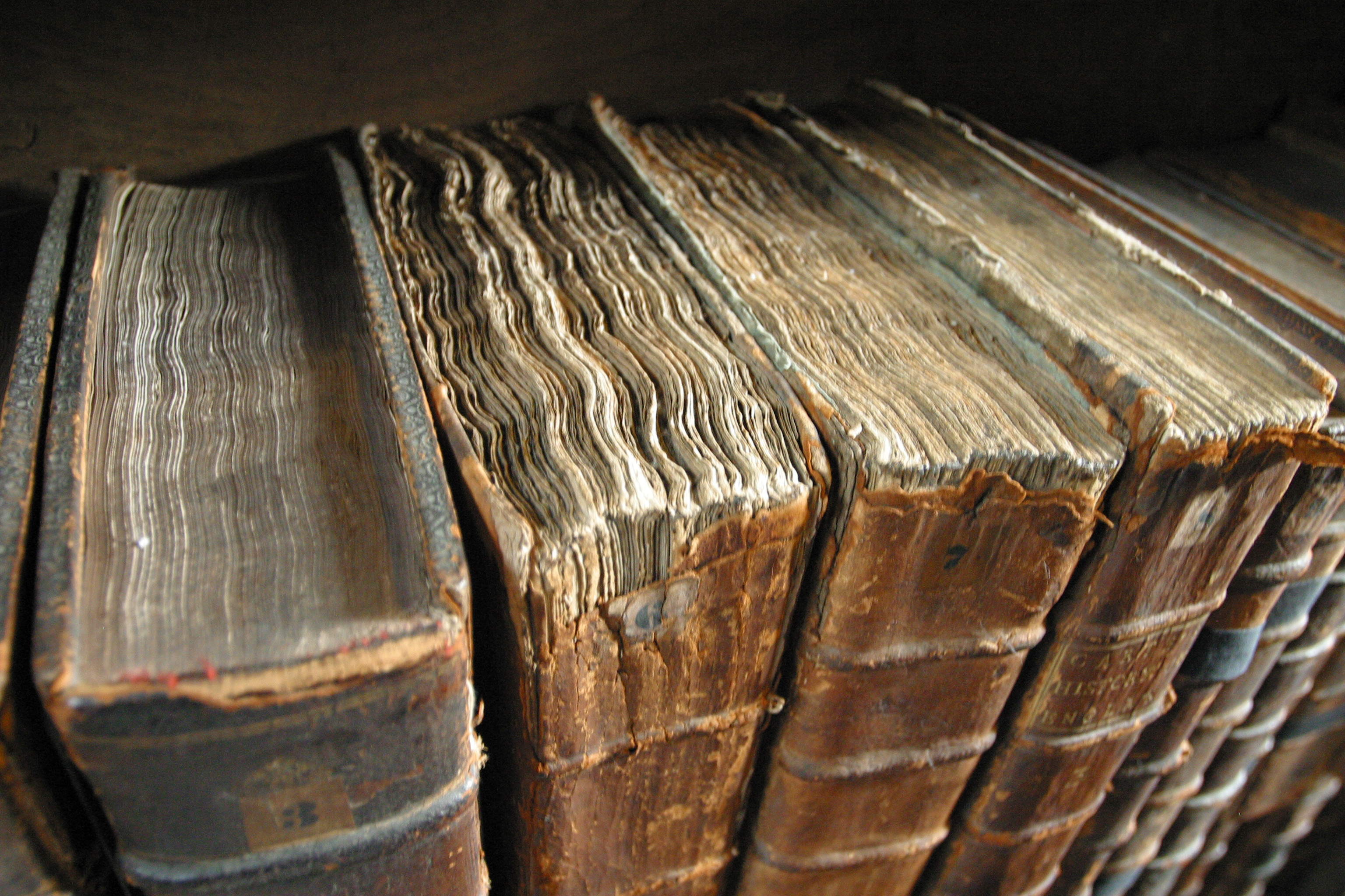 Preservation Techniques (image credits: wikimedia)