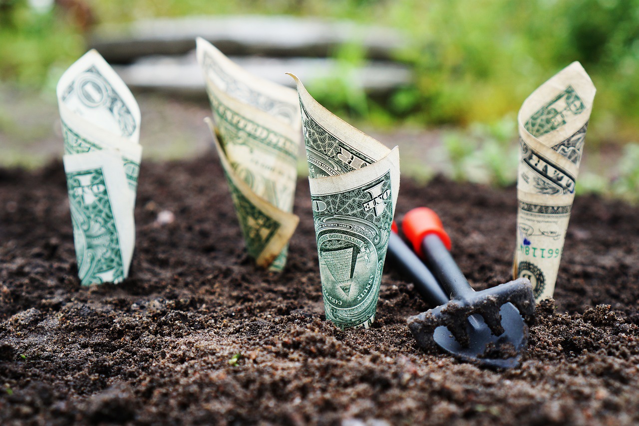 Maximize Health Savings Account Benefits (image credits: pixabay)