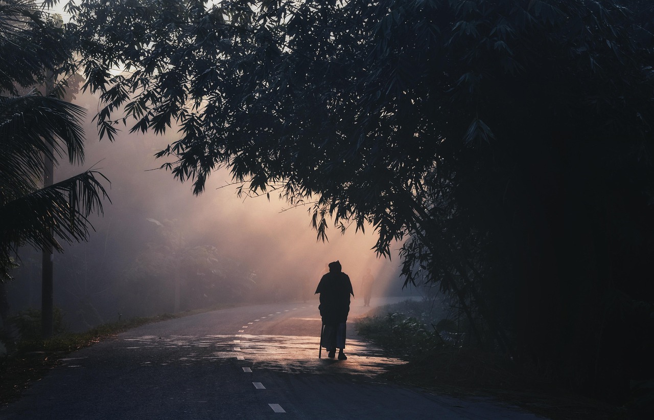 Waking to Birdsongs Not Alarms (image credits: pixabay)