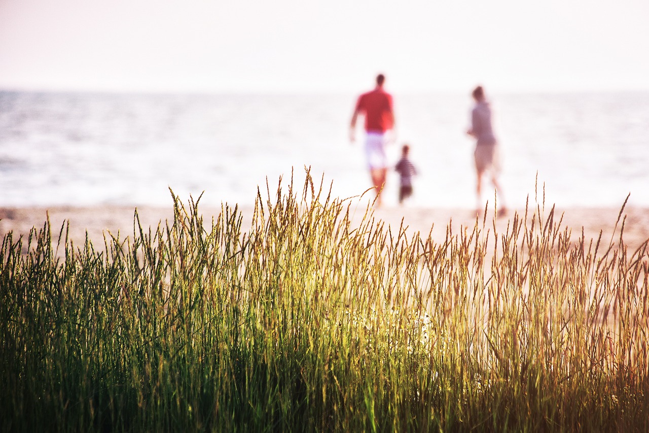 Family-Friendly Environment (image credits: pixabay)