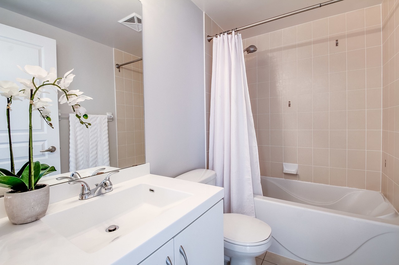Shower Curtains and Liners (image credits: pixabay)