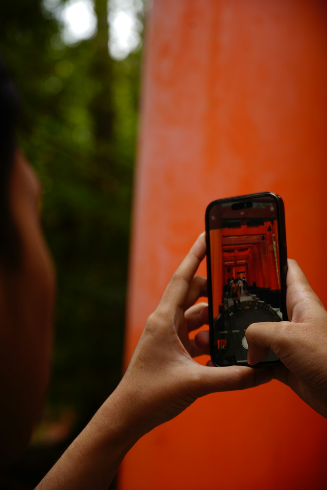 Japan’s Deep Sense of Social Harmony (image credits: unsplash)