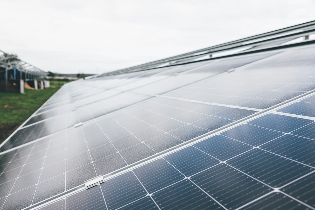 Germany: Championing Solar Since the Start (image credits: unsplash)
