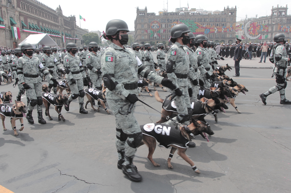 The Role of the Mexican Government (image credits: wikimedia)