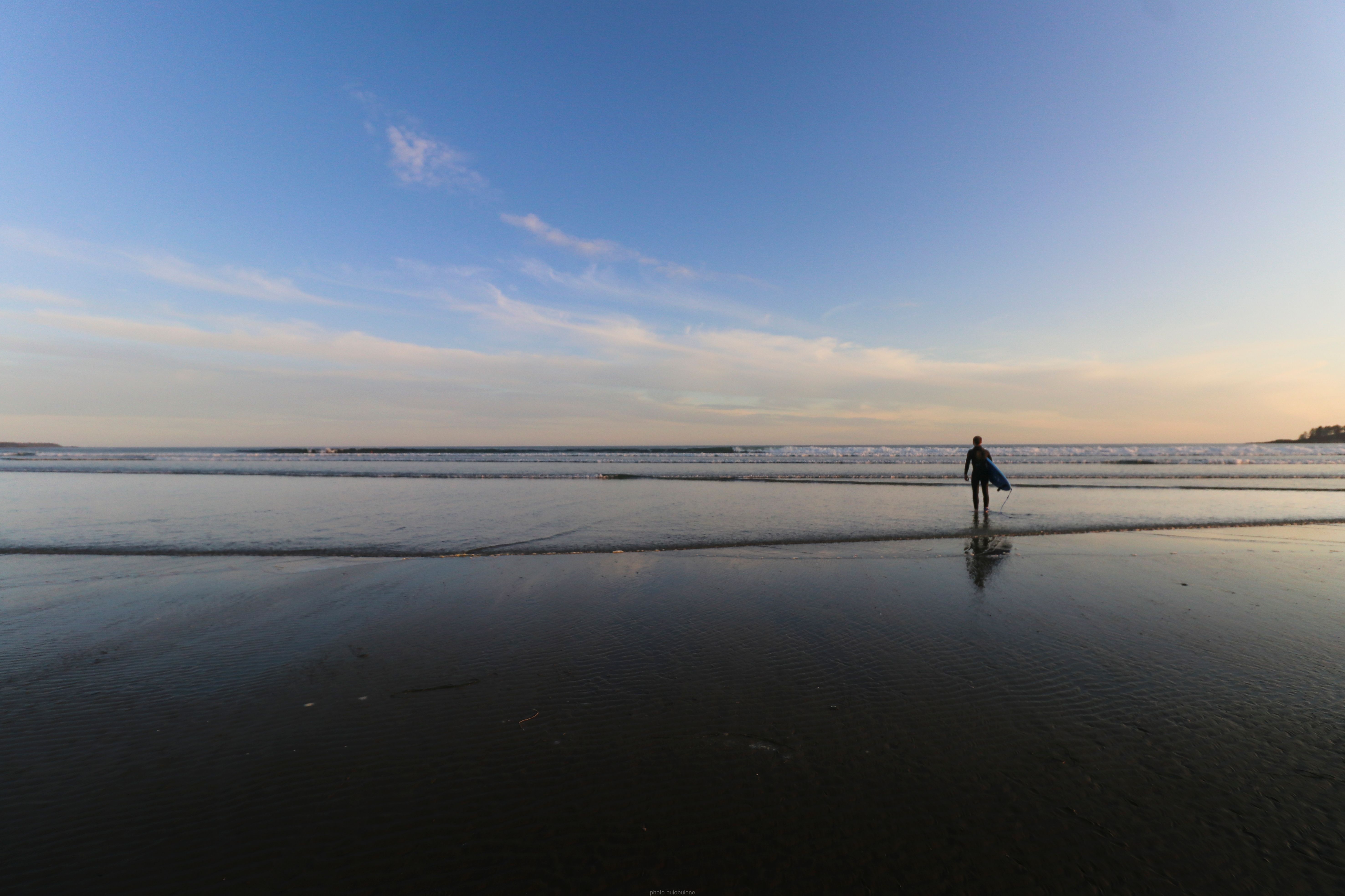 Tofino Second Mention The Surfer’s Dilemma (image credits: wikimedia)