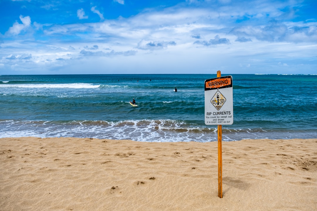 Rip Currents (image credits: unsplash)