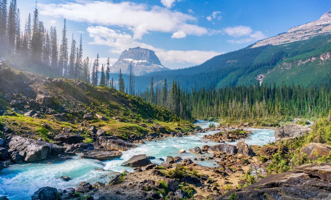 Glacier National Park, Montana (image credits: unsplash)