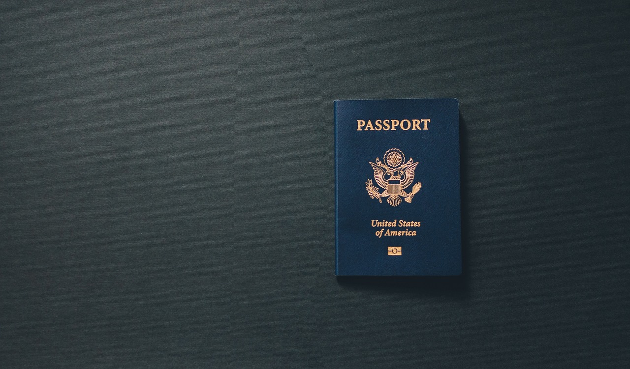 The Future of U.S. Travel Regulations (image credits: pixabay)