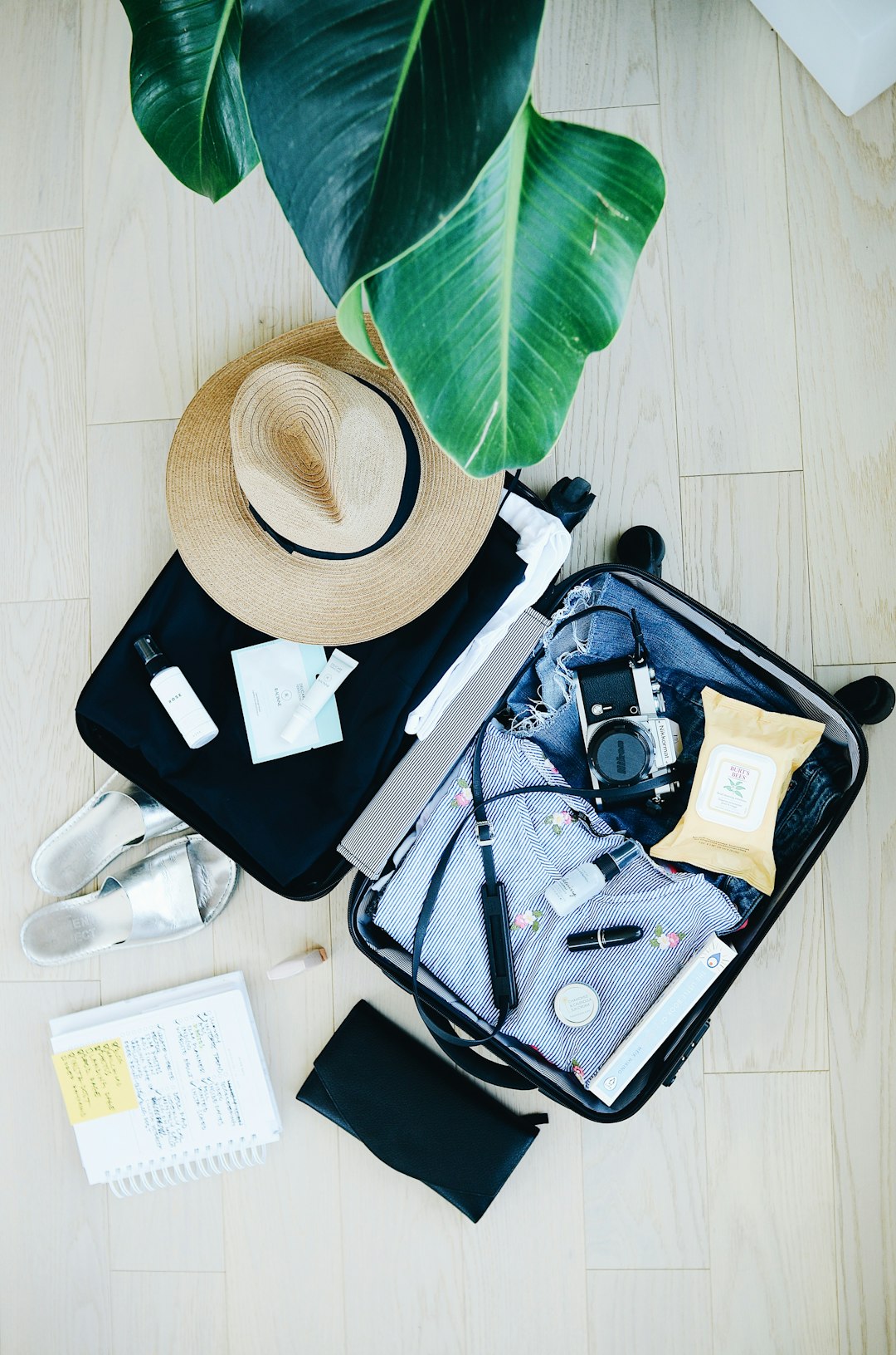 Travel Hacks for Smooth Sailing (image credits: unsplash)