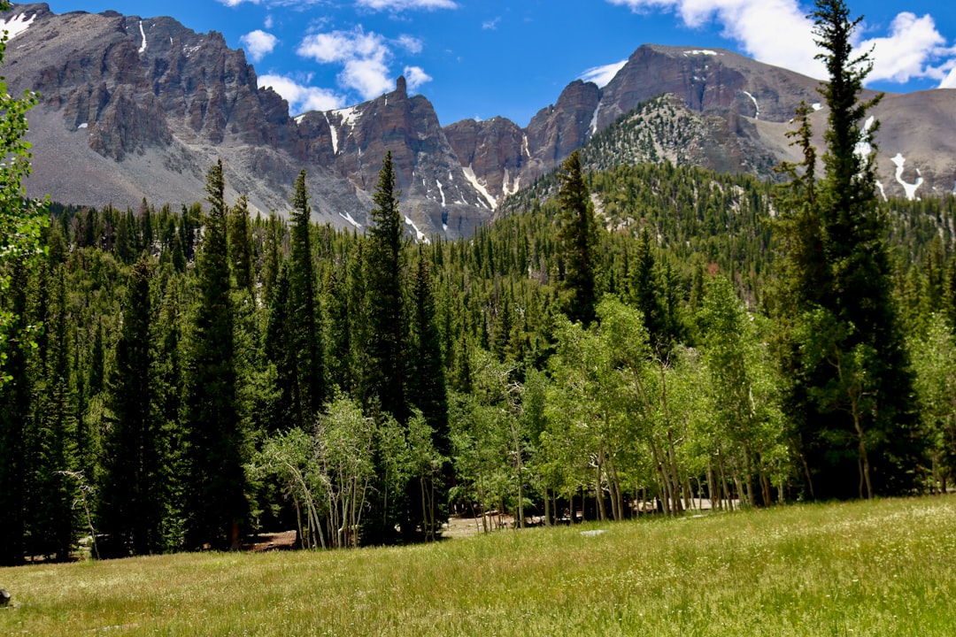 Great Basin National Park, Nevada (image credits: unsplash)
