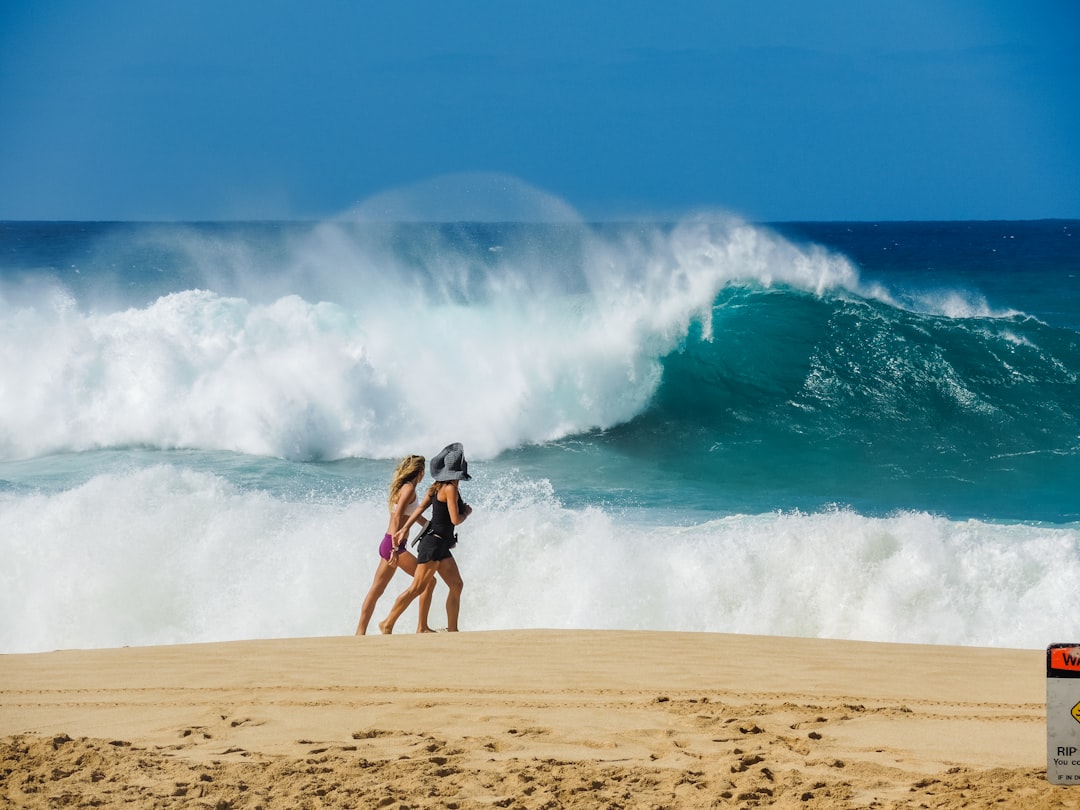 Costa Rica's Deadly Waters (image credits: unsplash)