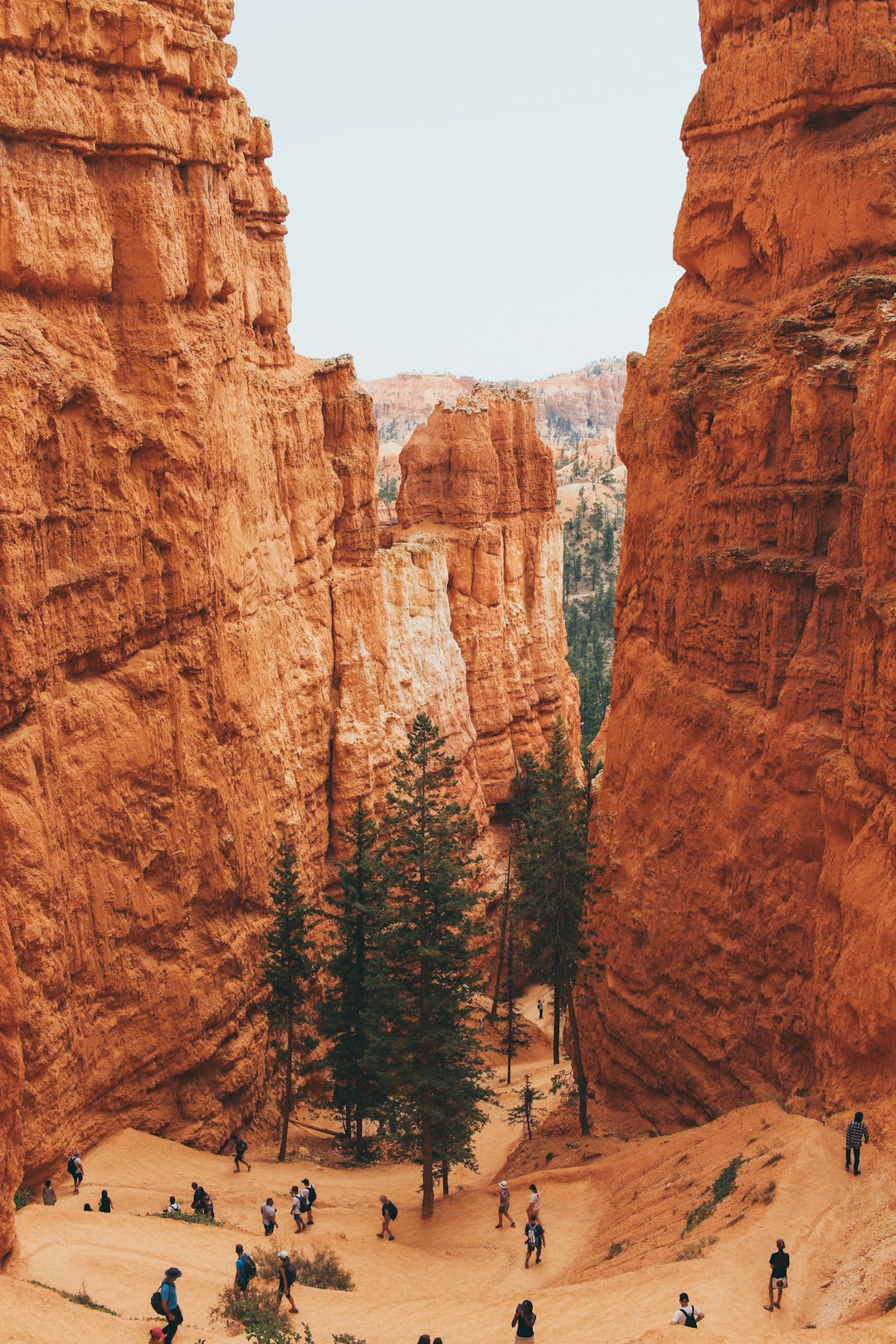The Grand Canyon's Overlooked Trails (image credits: unsplash)
