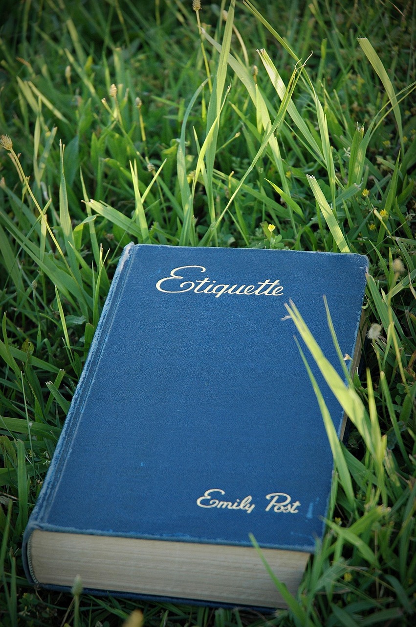 Cultural Awareness and Etiquette (image credits: pixabay)