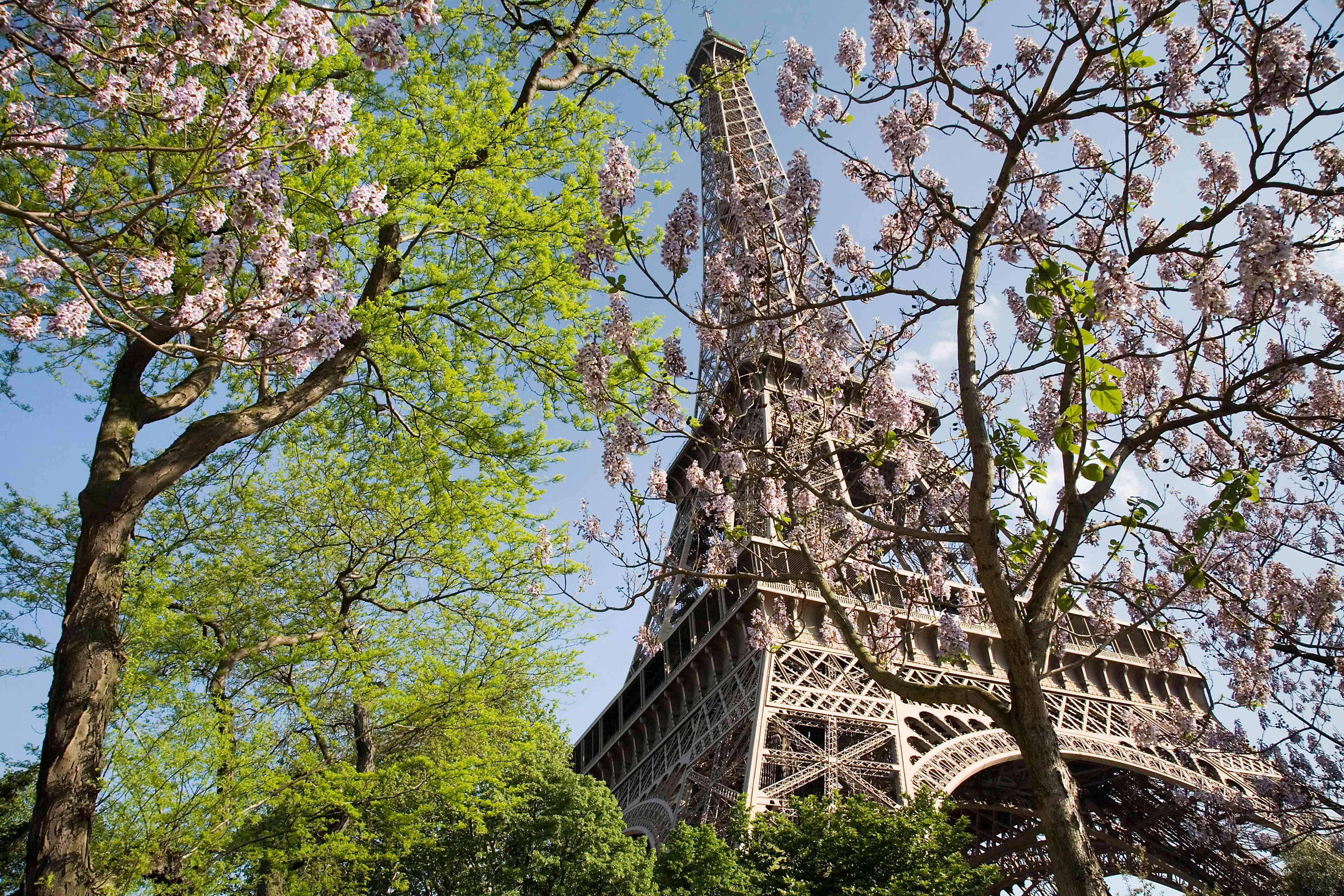 France: The Timeless Magnet for Travelers (image credits: wikimedia)