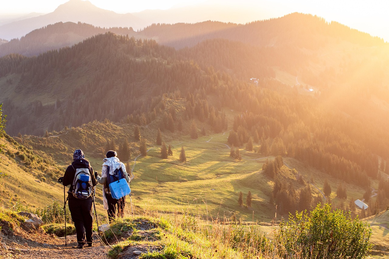 Go on a Hiking Adventure (image credits: pixabay)