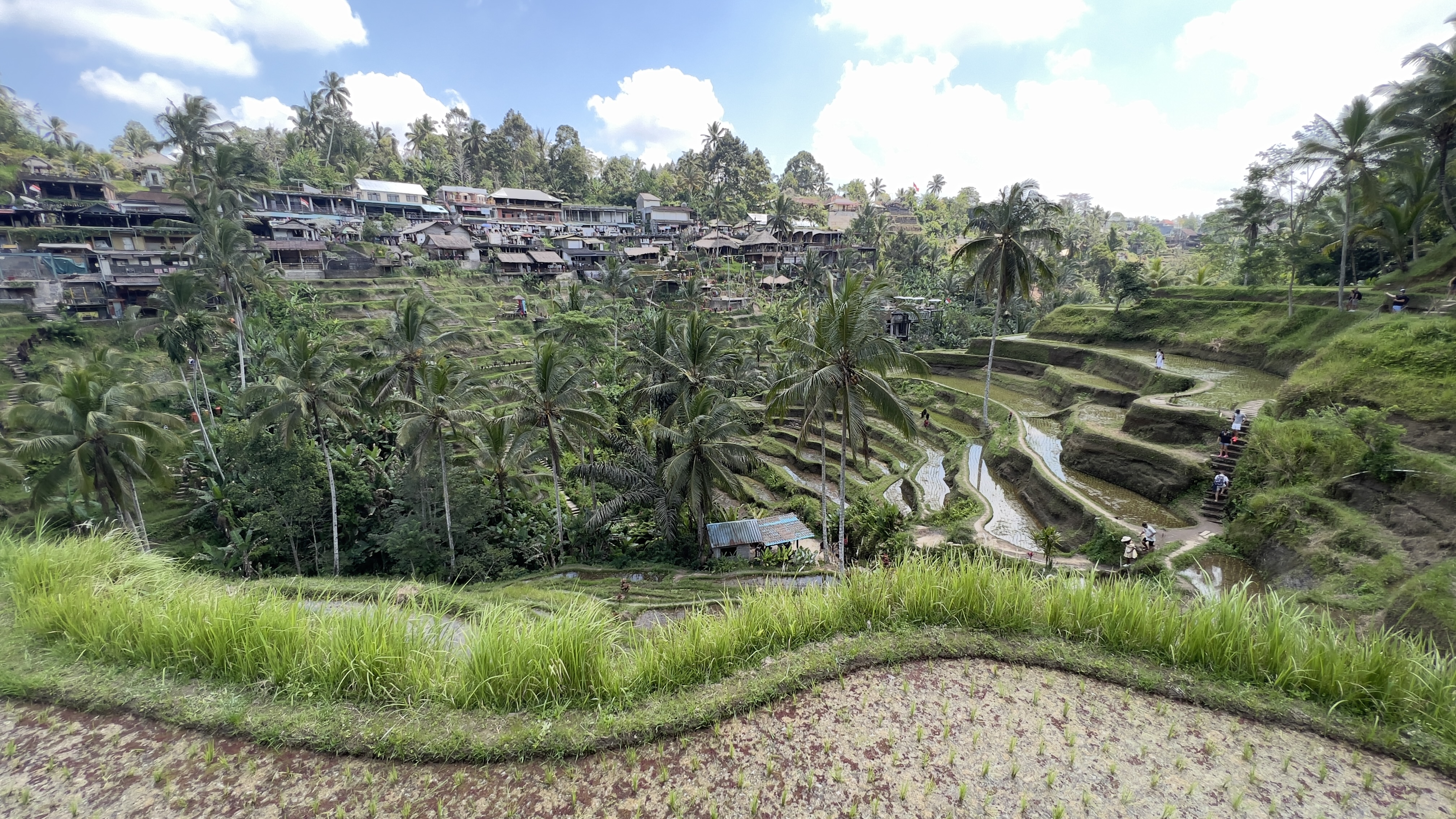 Bali’s Balancing Act Between Beauty and Burden (image credits: wikimedia)