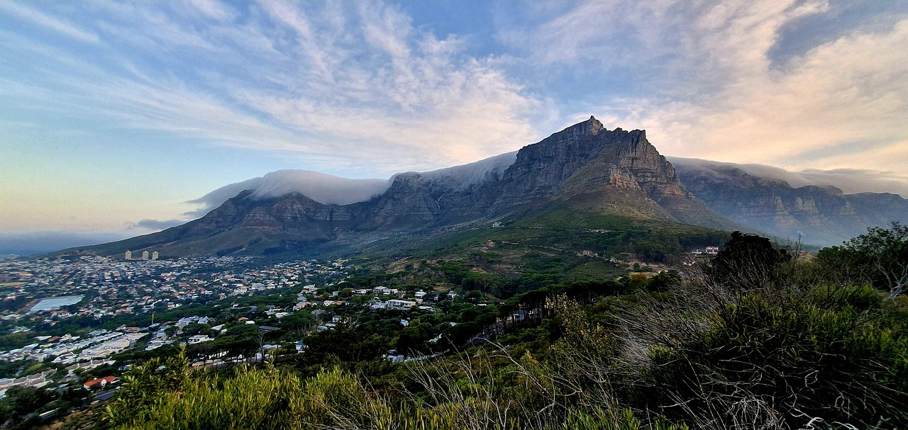 Cape Town, South Africa - Beauty and the Beast (image credits: pixabay)