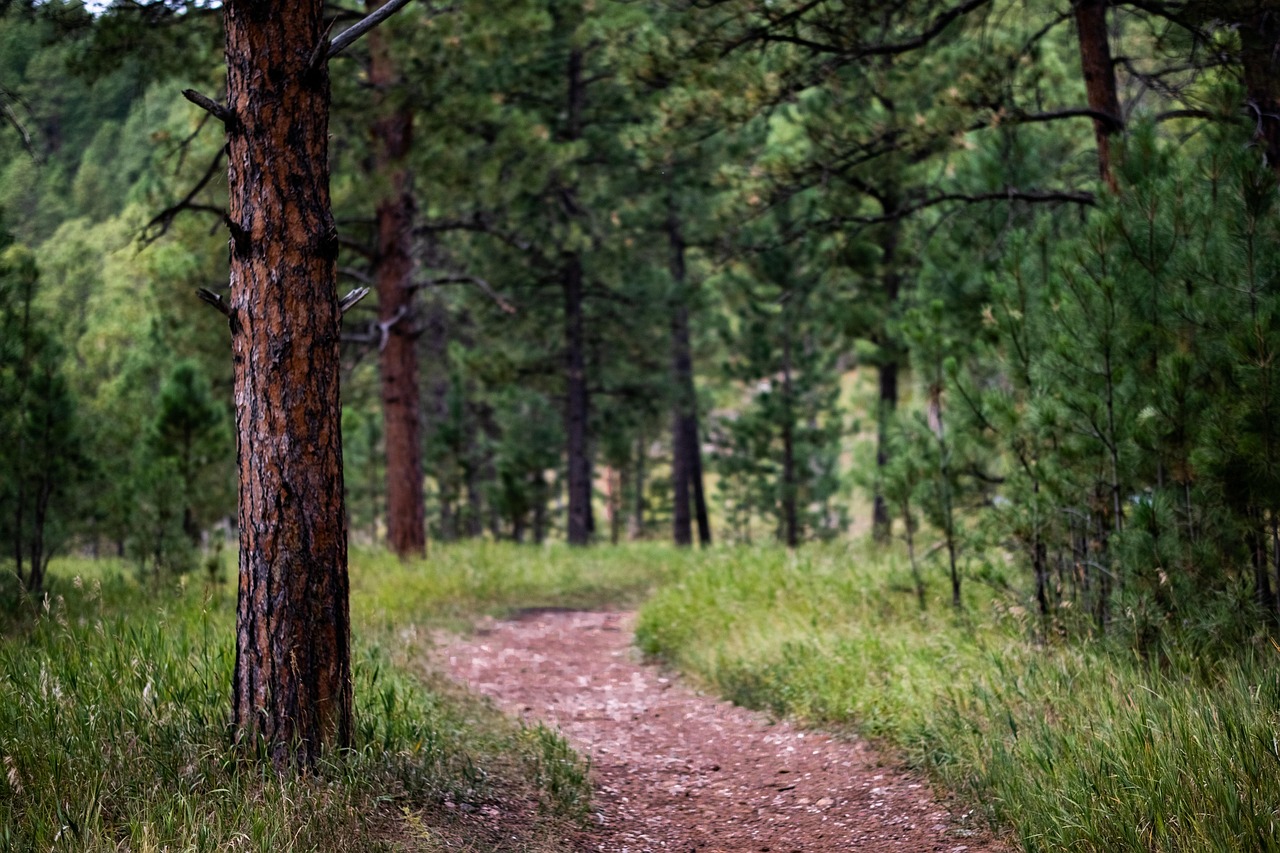 Avoiding Europe’s Crowds & Chaos (image credits: pixabay)