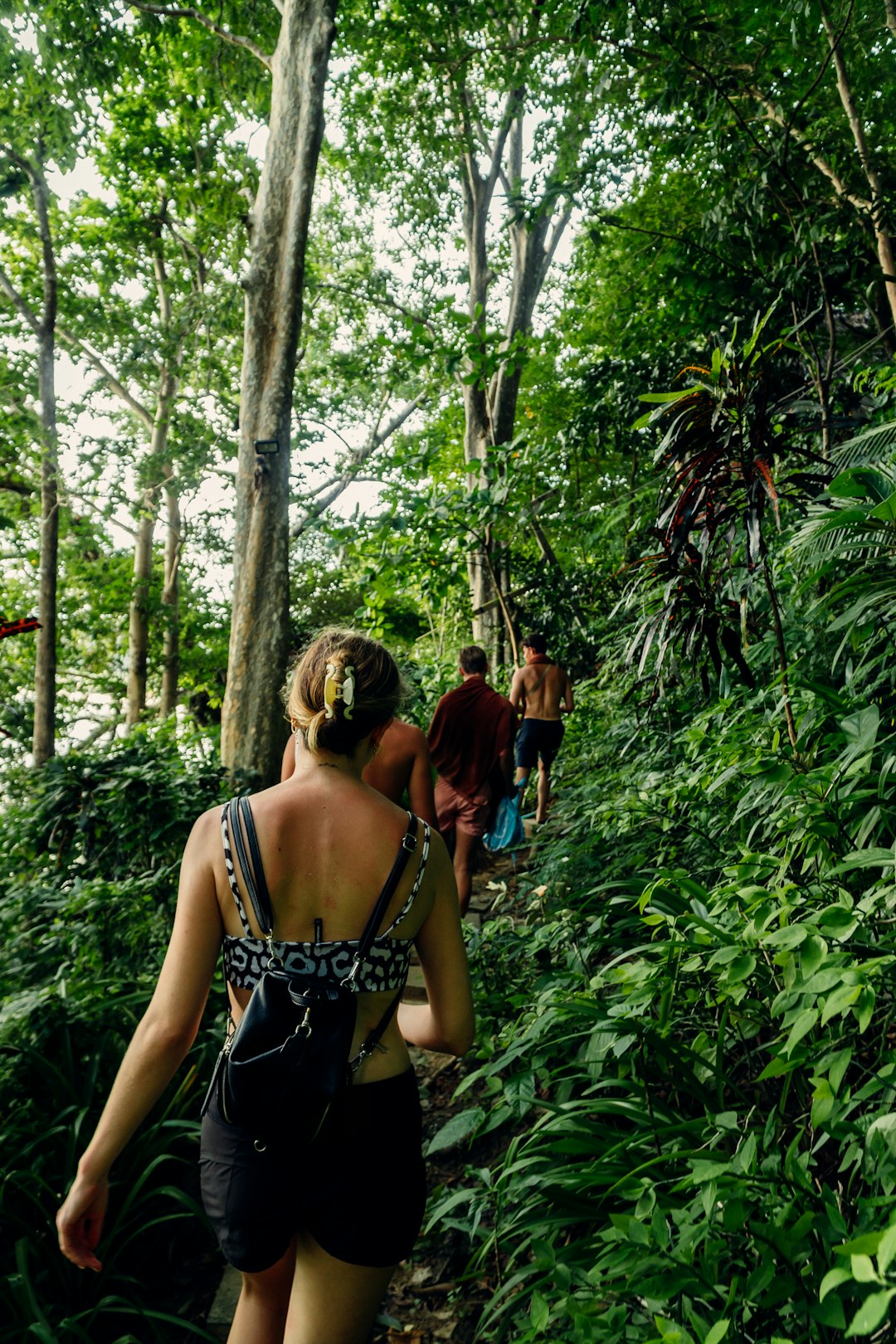 The Amazon Rainforest (image credits: unsplash)