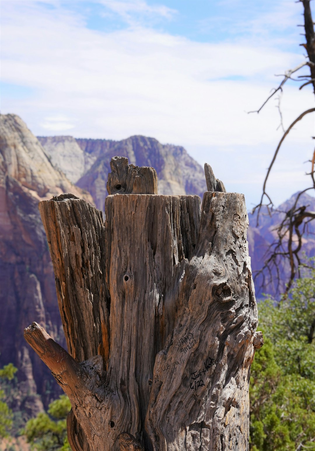 The Quiet Disappearance from Maps and Guides (image credits: unsplash)