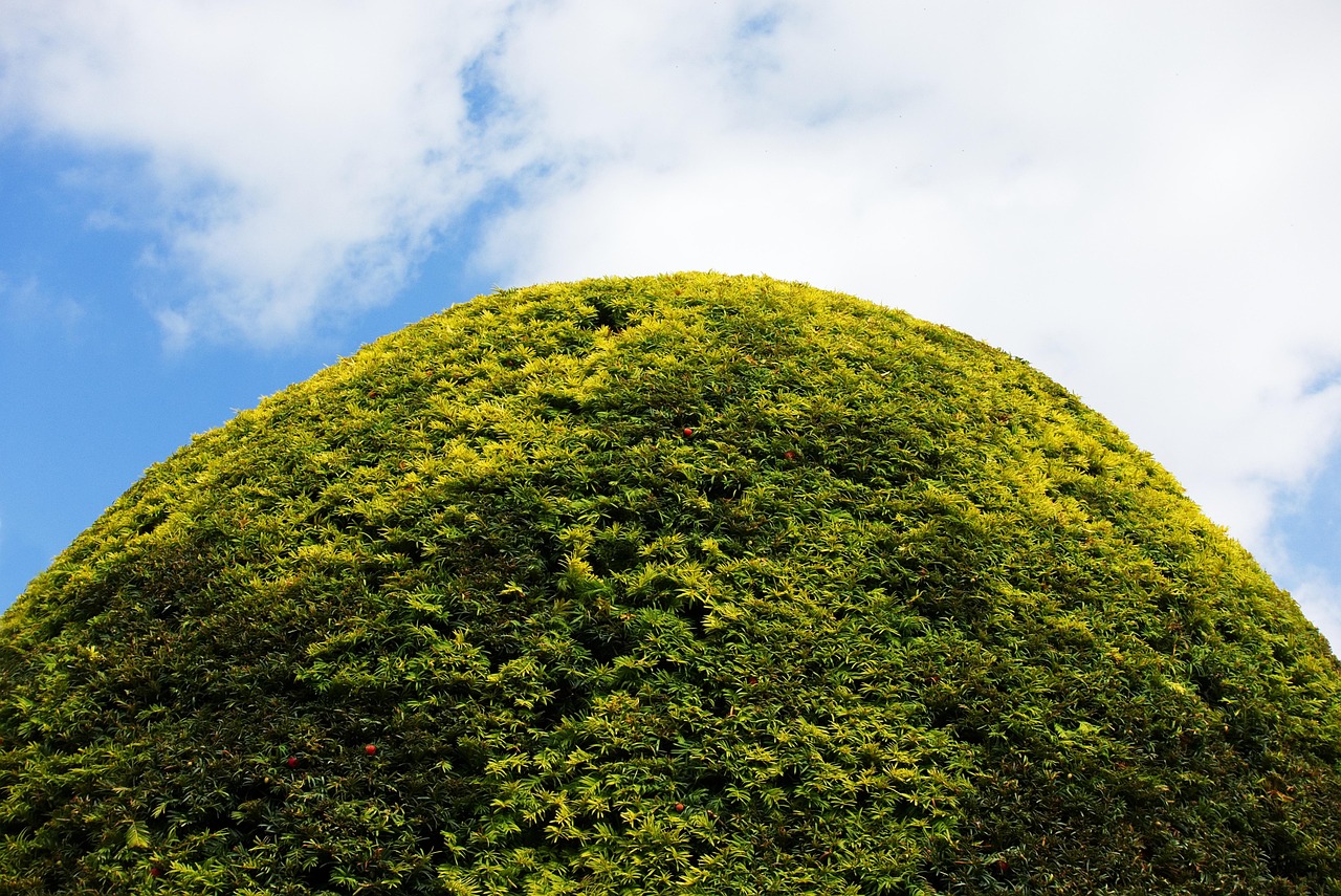 The City of Cahokia (image credits: pixabay)