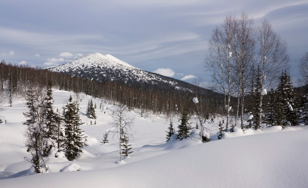 4. Russia (Siberia) (image credits: rawpixel)