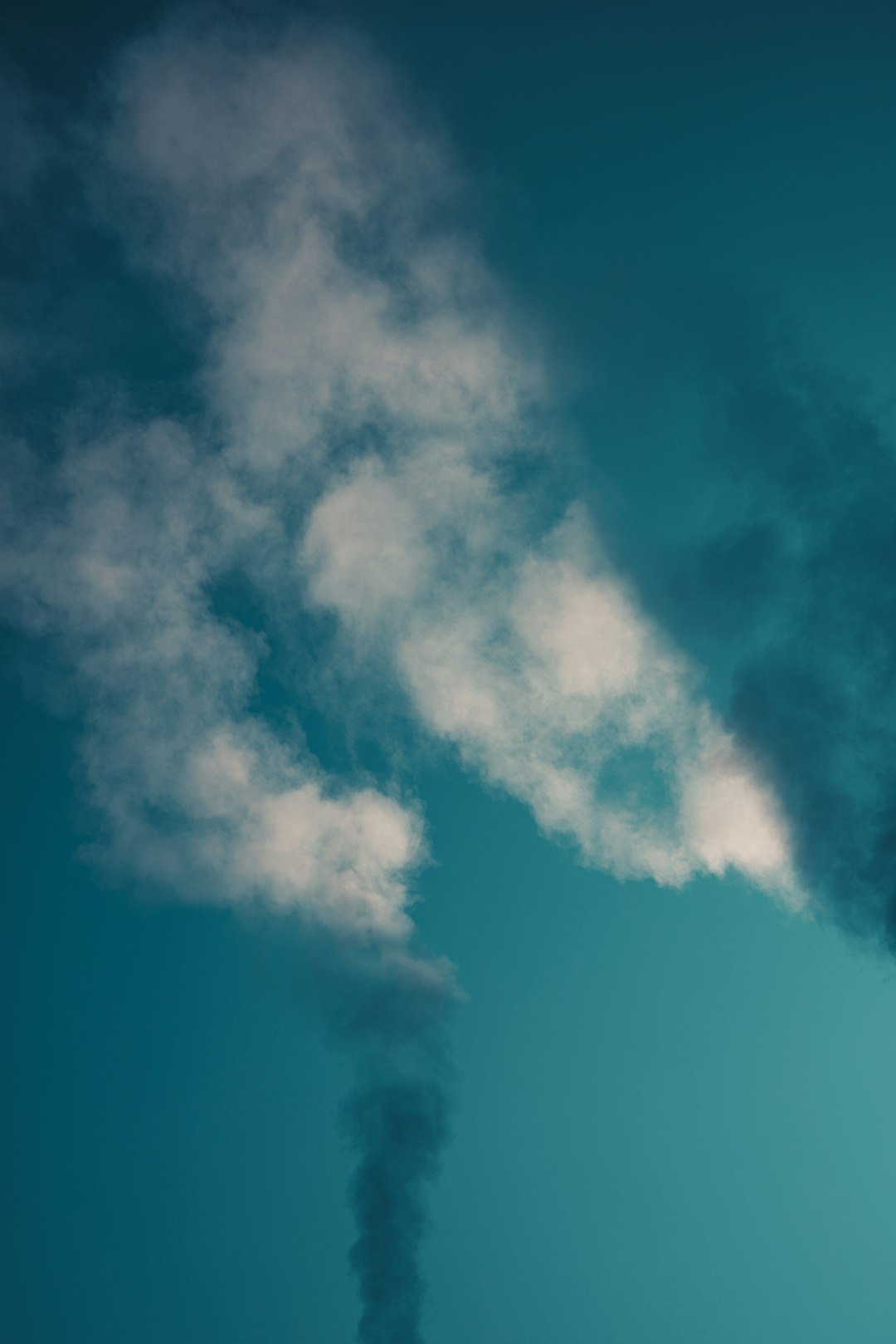 Environmental Concerns (image credits: unsplash)