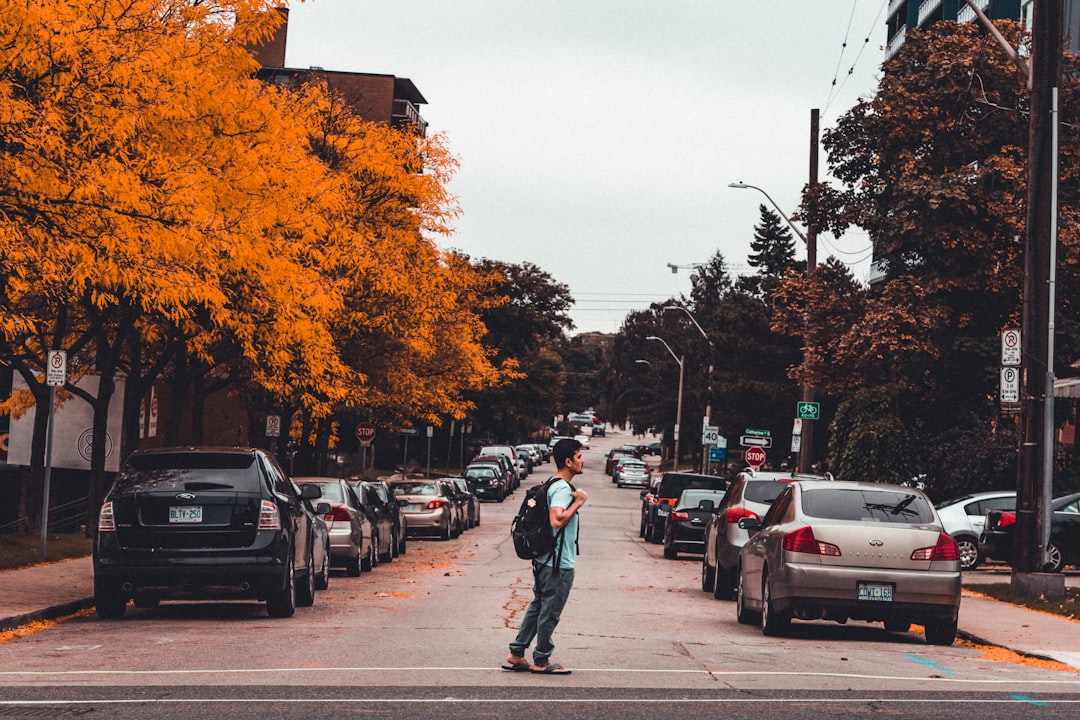 7. October’s Fall Frenzy for U.S. Cities (image credits: unsplash)