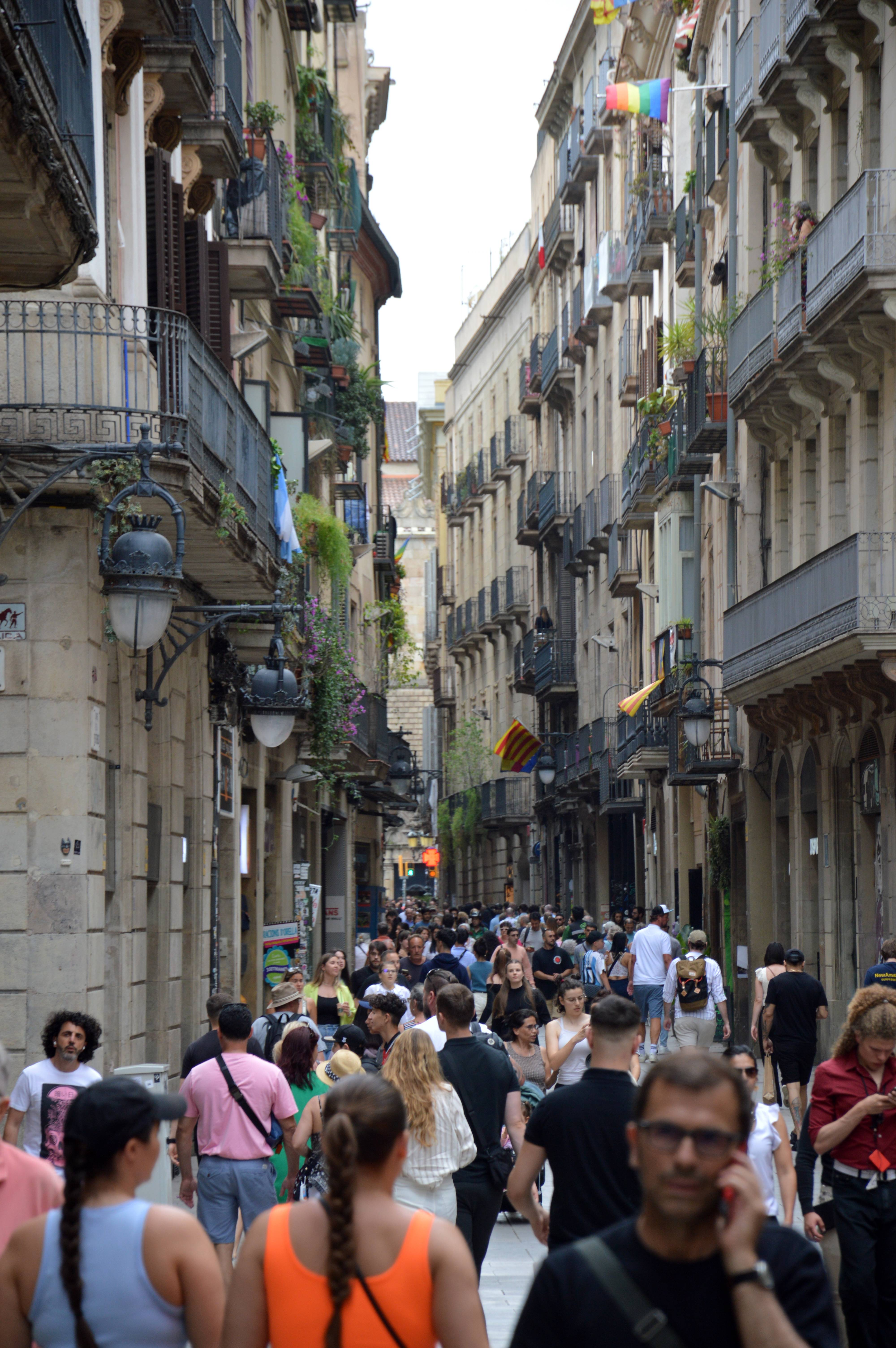 The Overcrowding Dilemma (image credits: wikimedia)