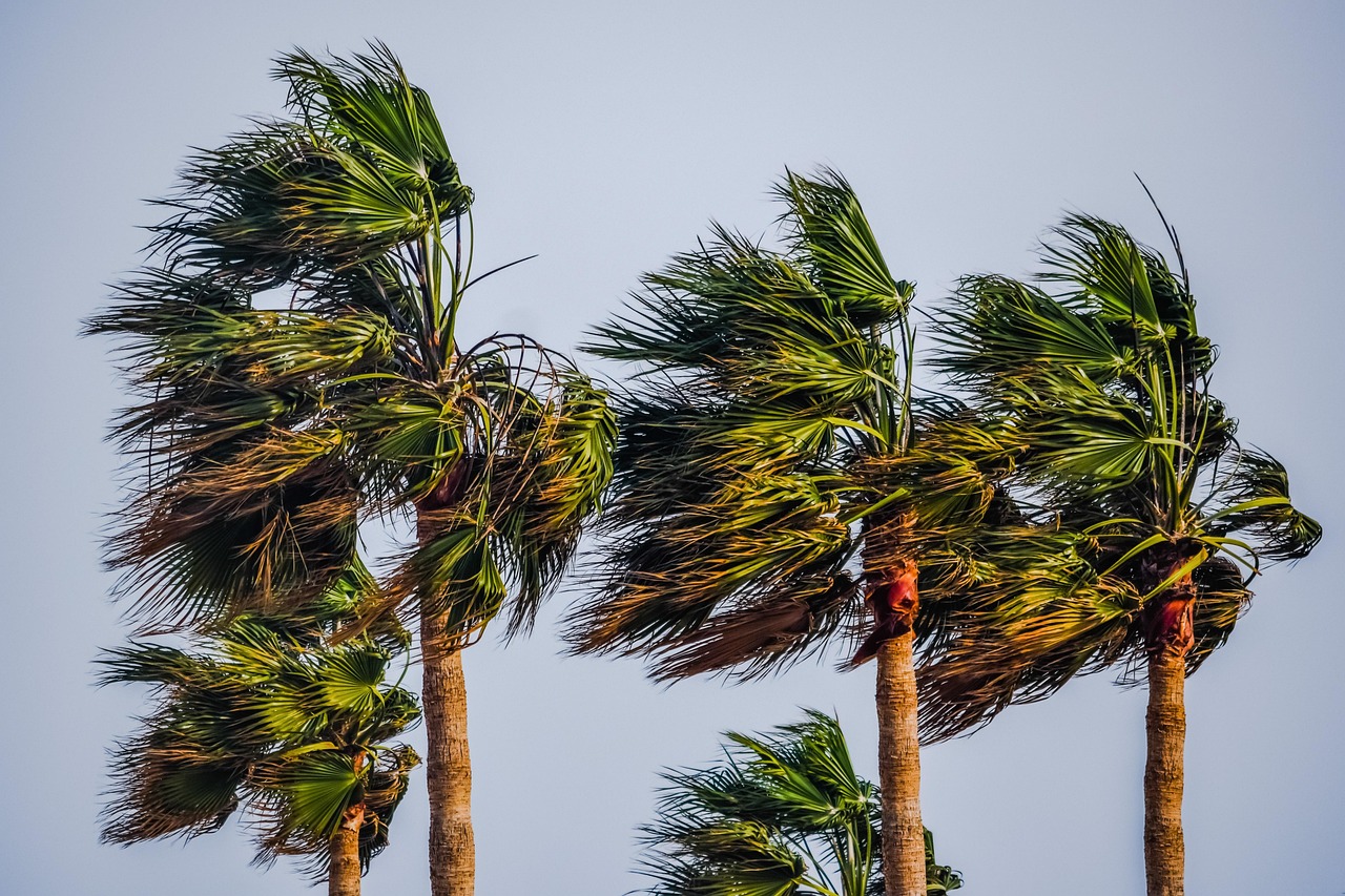 Seasonal Weather Changes (image credits: pixabay)