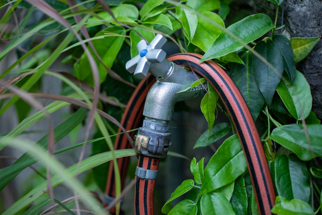 Garden Hose and Outdoor Faucets (image credits: unsplash)