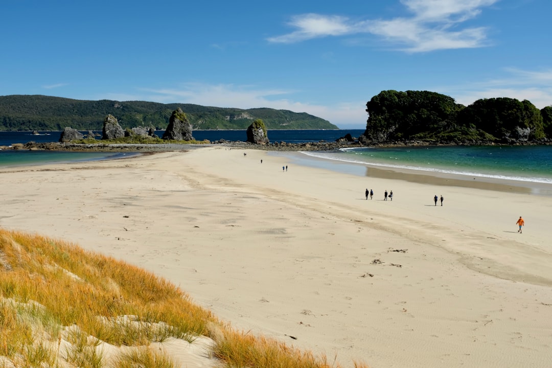 New Zealand: The World’s Adrenaline Playground (image credits: unsplash)