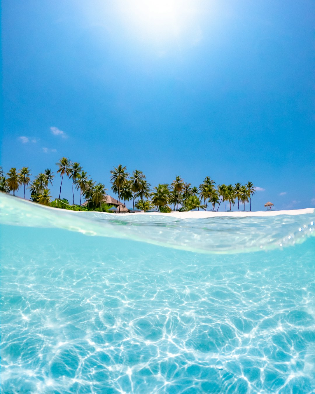The Maldives (image credits: unsplash)