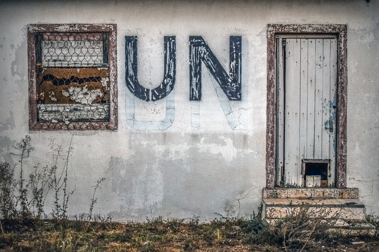 Political Stalemate: UN Resolutions and Diplomatic Strains (image credits: pixabay)