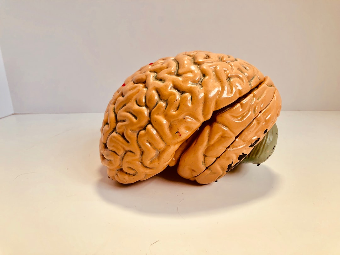 Your Brain's Best Investment Strategy (image credits: unsplash)