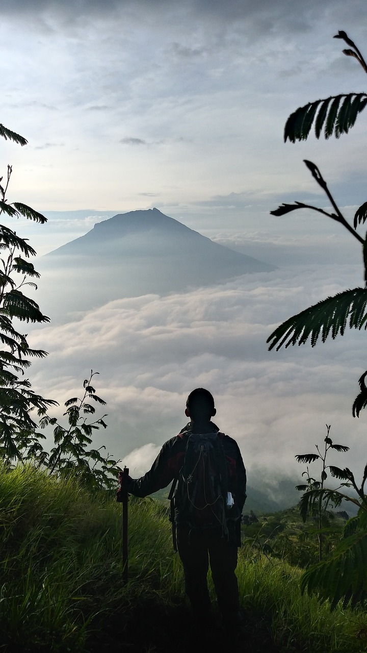 The Profound Mental Health Benefits (image credits: pixabay)