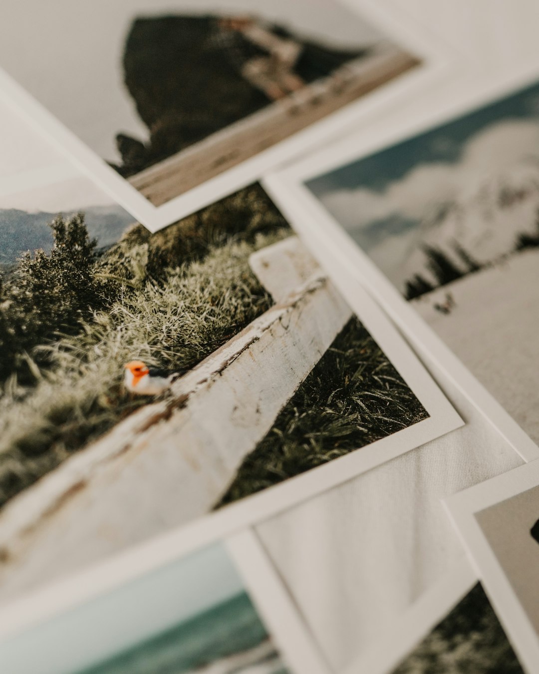 Making Memories: Stories That Are Yours Alone (image credits: unsplash)