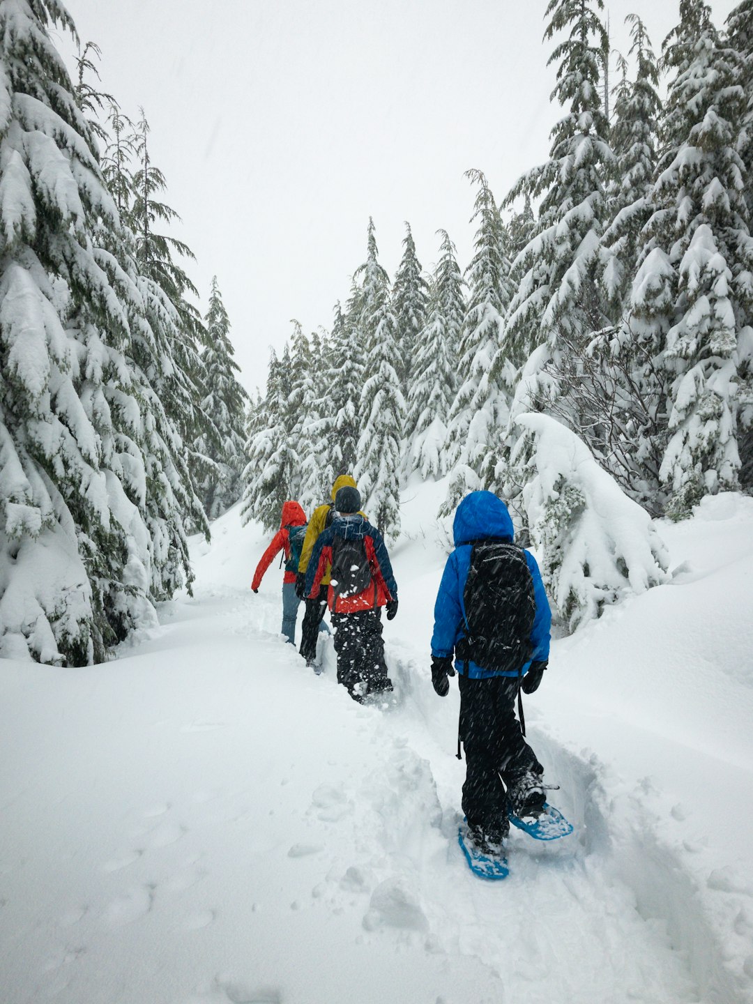 Health Benefits of Cold Weather (image credits: unsplash)