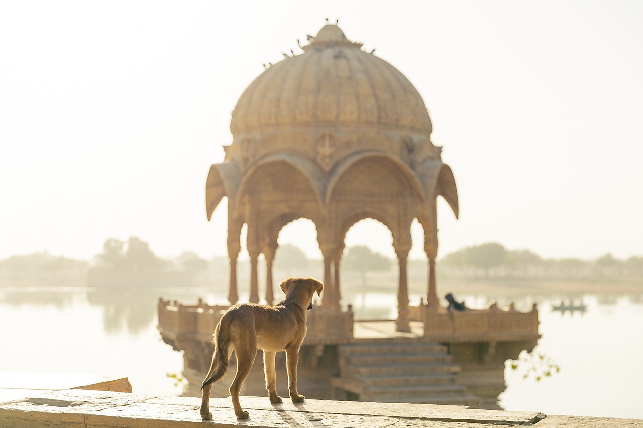 Cultural Immersion: More Than Just Sightseeing (image credits: pixabay)