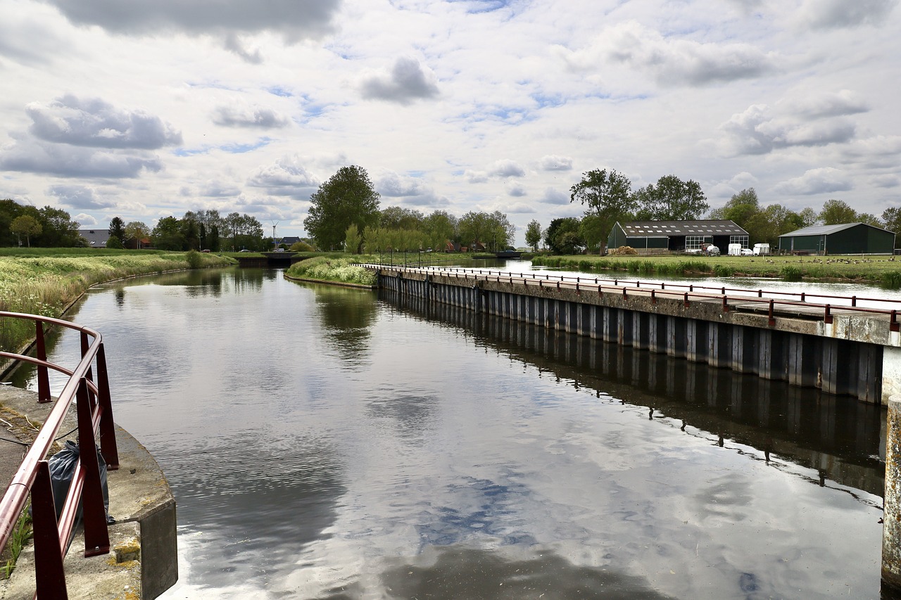 Netherlands - Tulips and Tolerance with Rising Seas (image credits: pixabay)