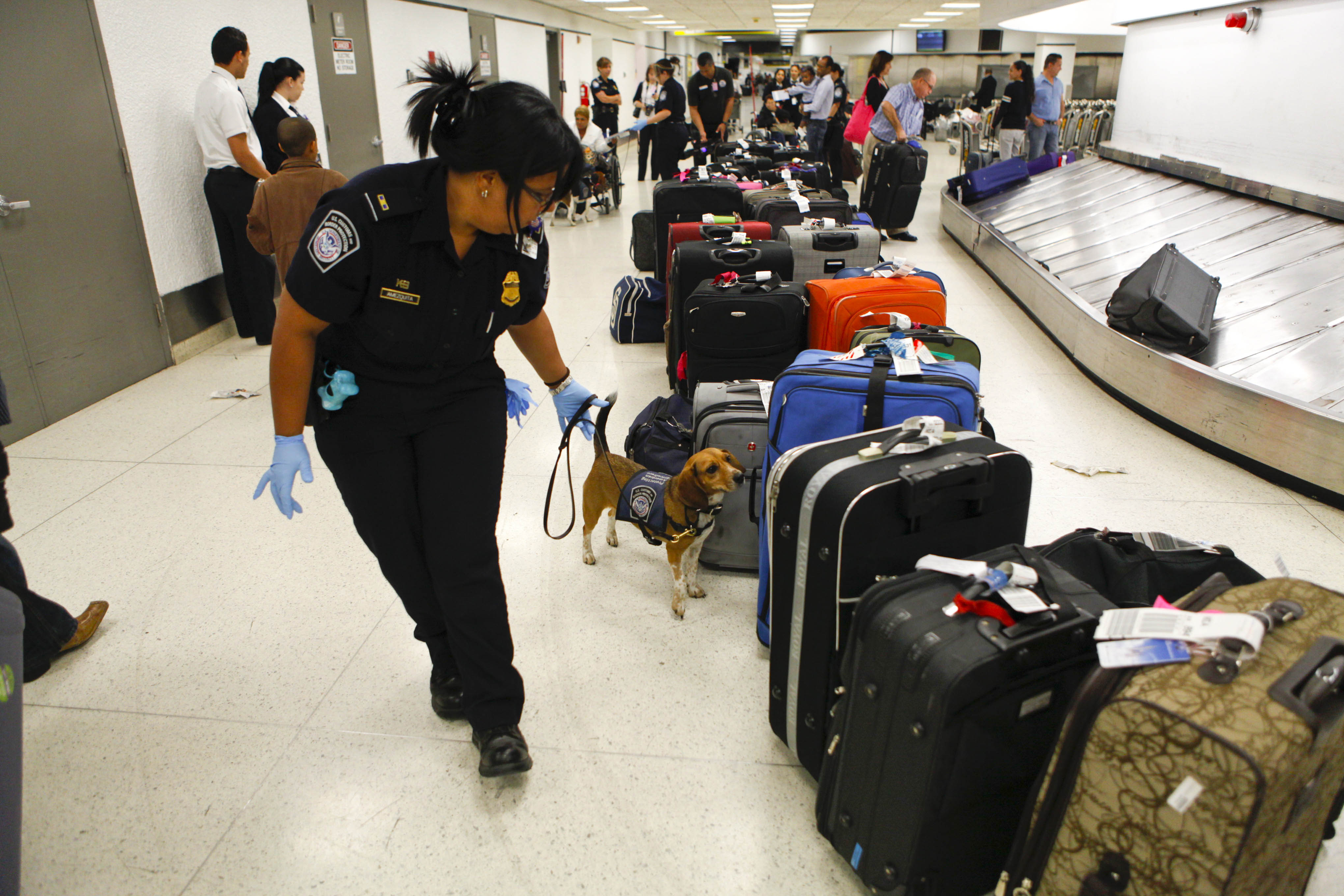 Attempting to Bring Illegal Substances or Smuggle Contraband (image credits: wikimedia)