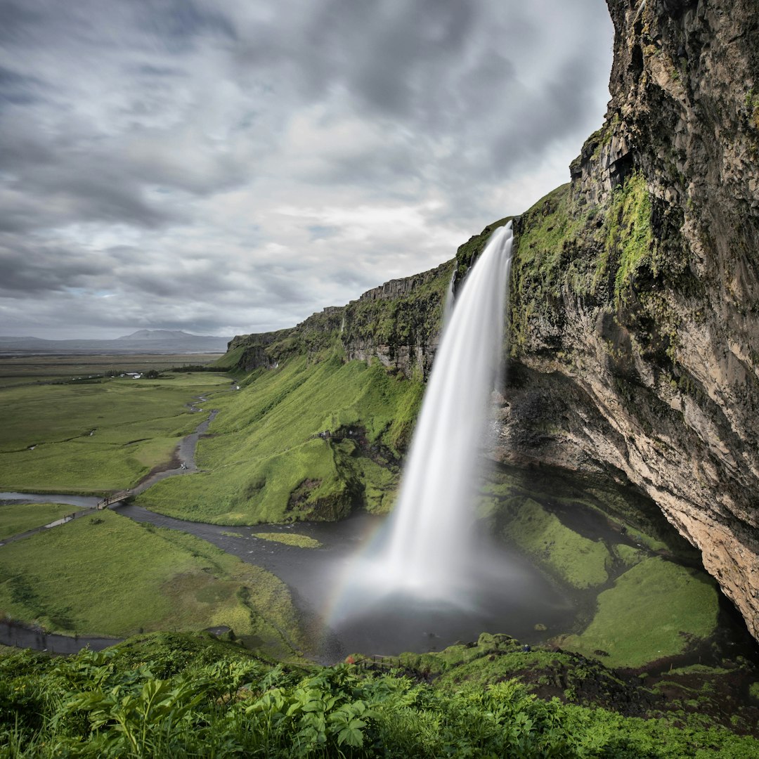 Focus on Health and Safety (image credits: unsplash)
