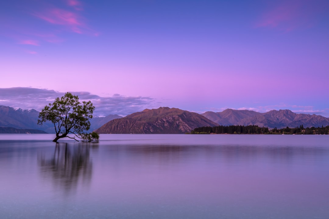 New Zealand Clean Green Adventure (image credits: unsplash)