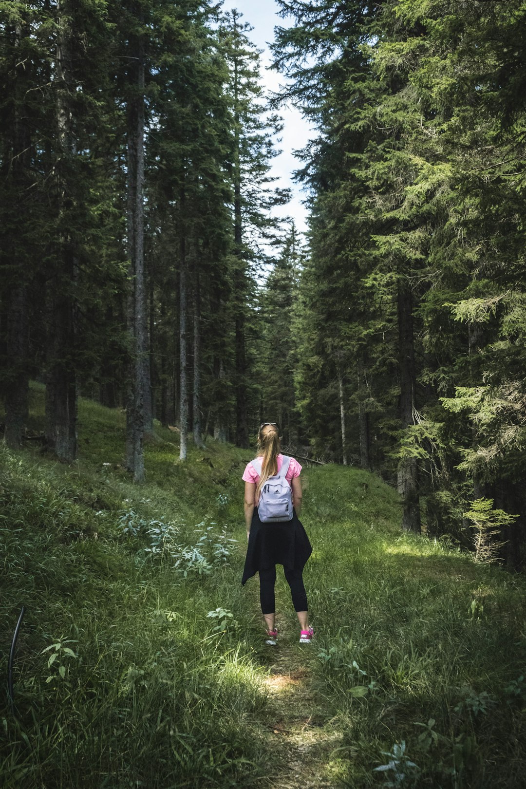 New Adventures Off the Beaten Path (image credits: unsplash)