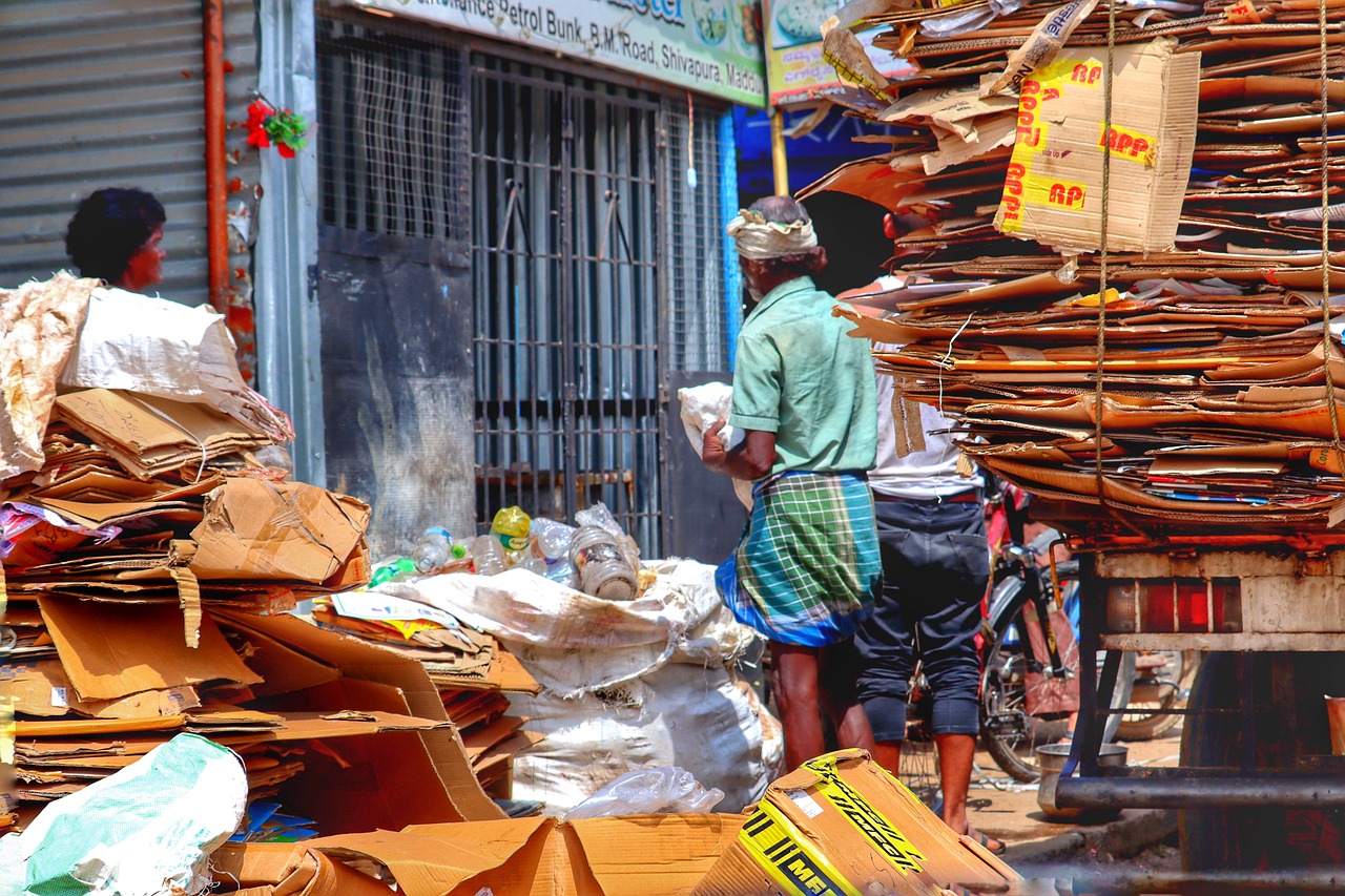 India: A Growing Concern (image credits: pixabay)
