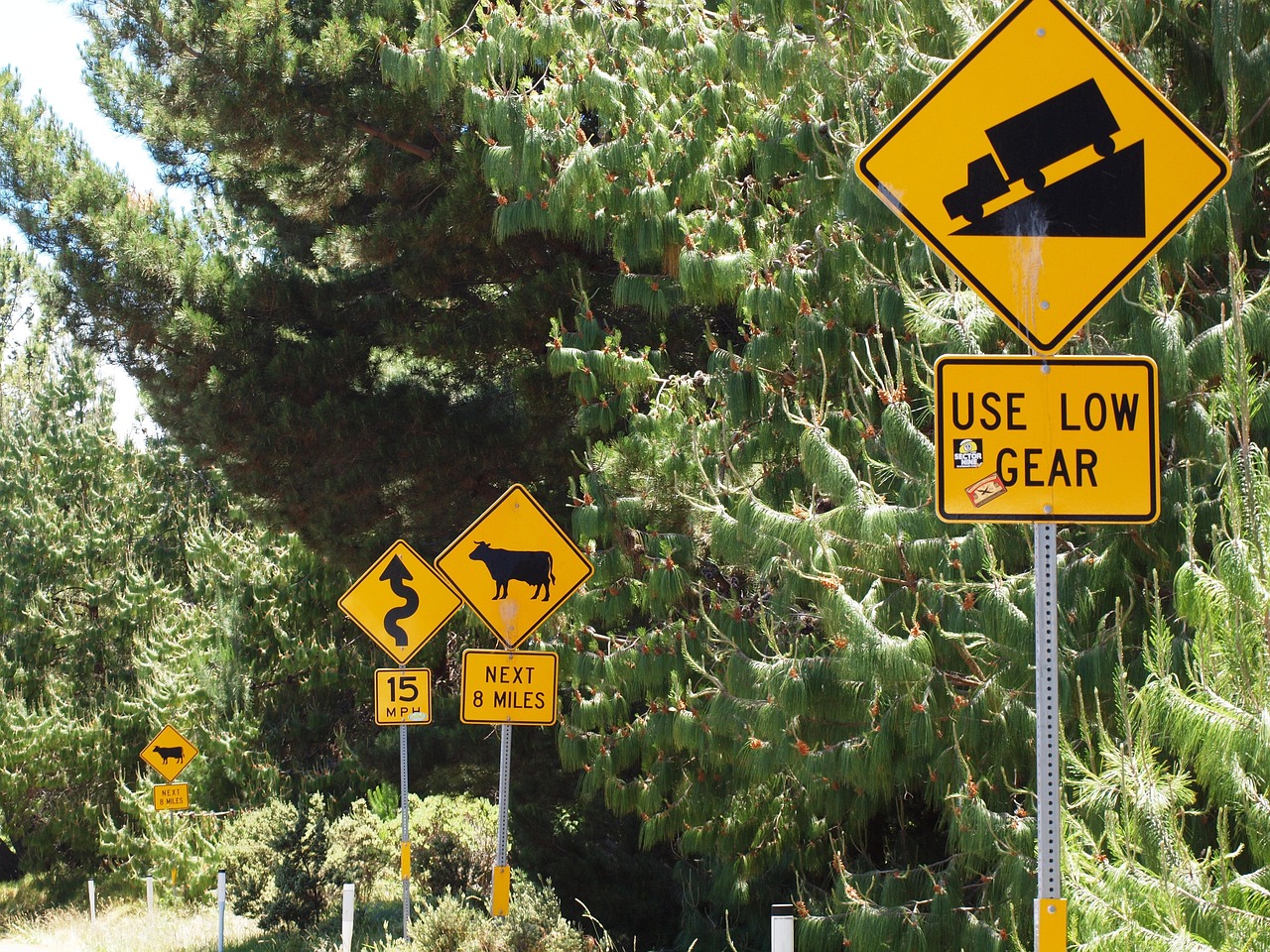 Road to Hana, Maui, Hawaii (image credits: pixabay)