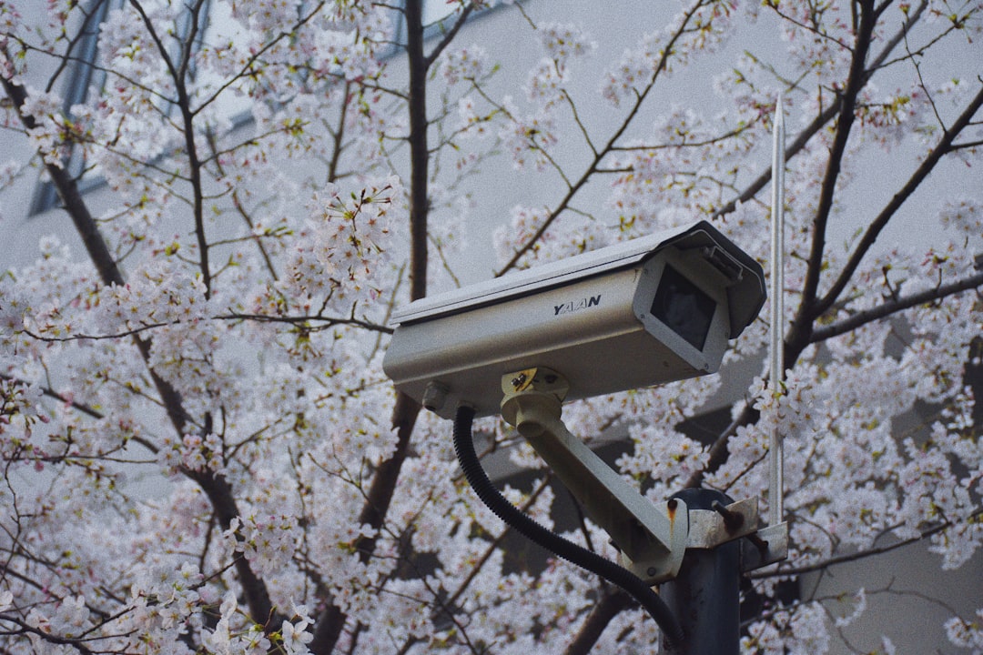 North Korea's Total Surveillance Regime (image credits: unsplash)
